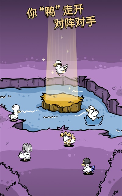 Ѽٷ(Clusterduck)ͼ2