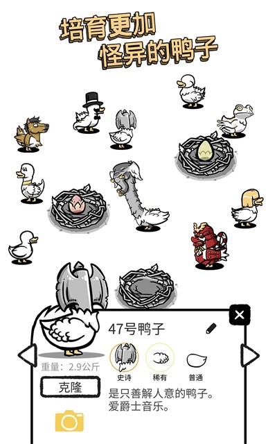 Ѽٷ(Clusterduck)ͼ4