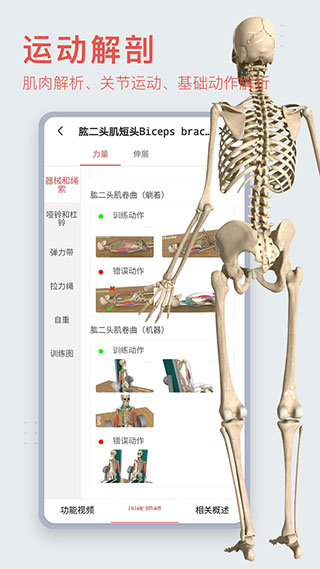 3Dbodyʽͼ1