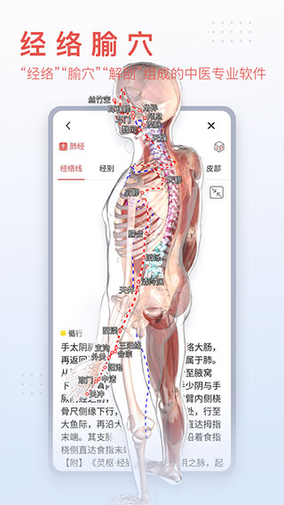 3Dbodyʽͼ2