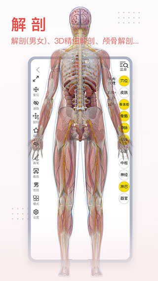 3Dbodyʽͼ3