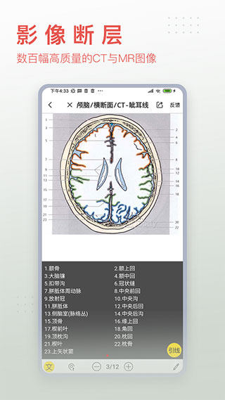 3Dbodyʽͼ4