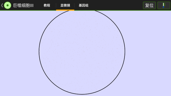ϸʵҽͼ5