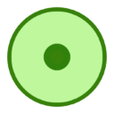 ϸʵ