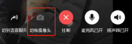 豸л
