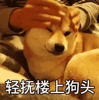 ᶯħdogeϼ