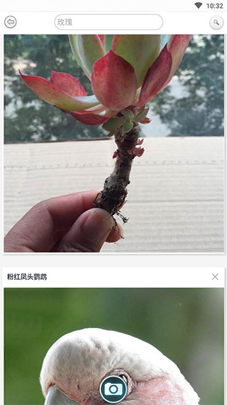 ʶƽͼ4