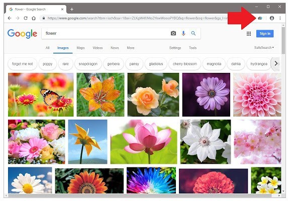 ChromeЧͼƬ