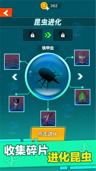 Ҷֻͼ5