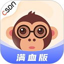 CSDN԰桸ģ