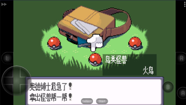 ڴʯͼ4