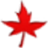 ָx500