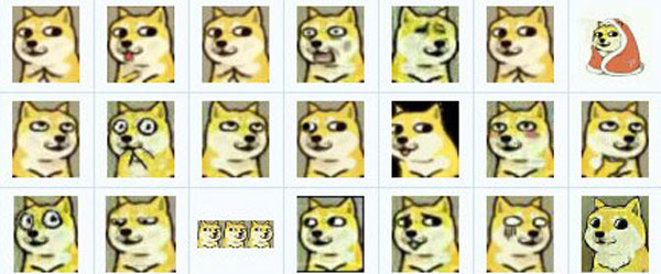 doge