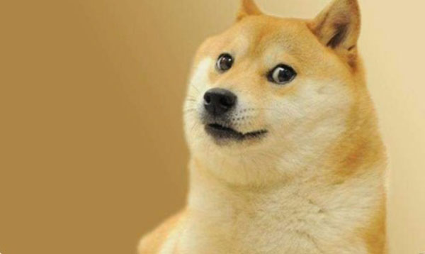 doge