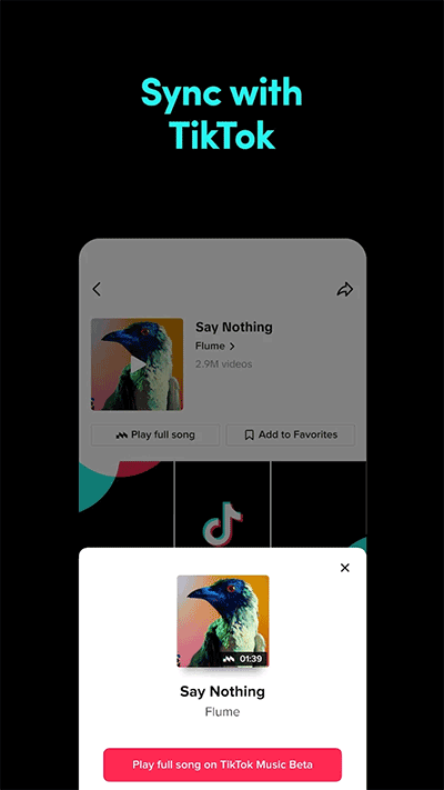 TikTok Musicͼ1