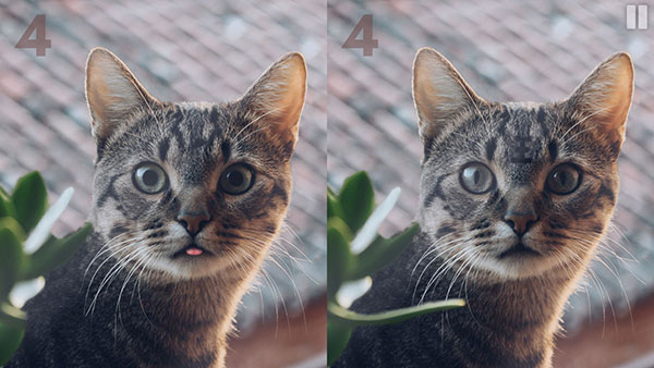 Ѱͼ4