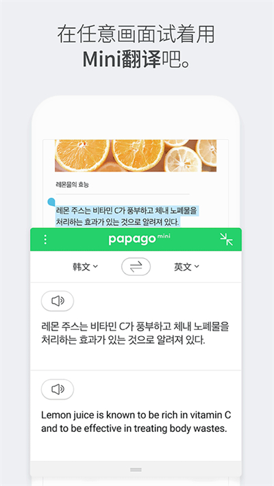 papagoкͼ4