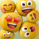 Ϊֽװ