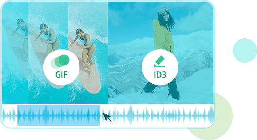 Apeaksoft Video Converter Ultimate(Ƶʽת)