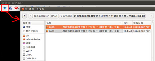 SMPlayer(ý岥)