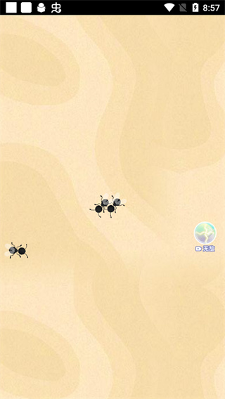 ٻϷͼ2