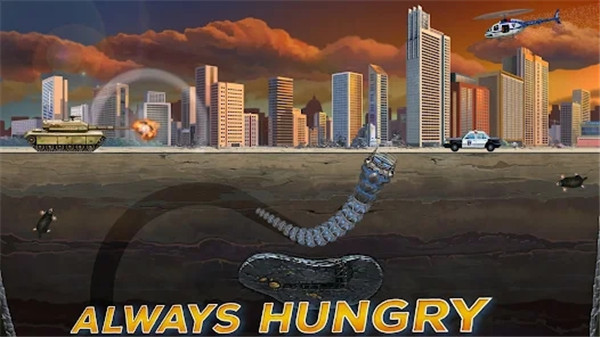 ͼ5