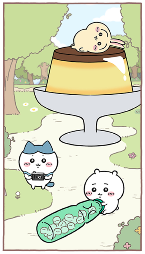 ڴ(Chiikawa Pocket)