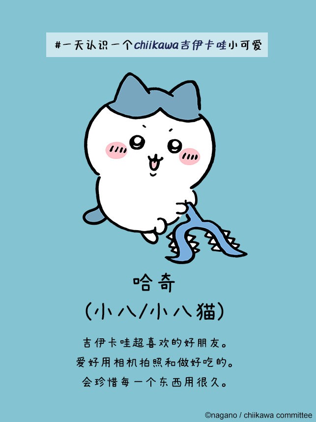 ڴ(Chiikawa Pocket)