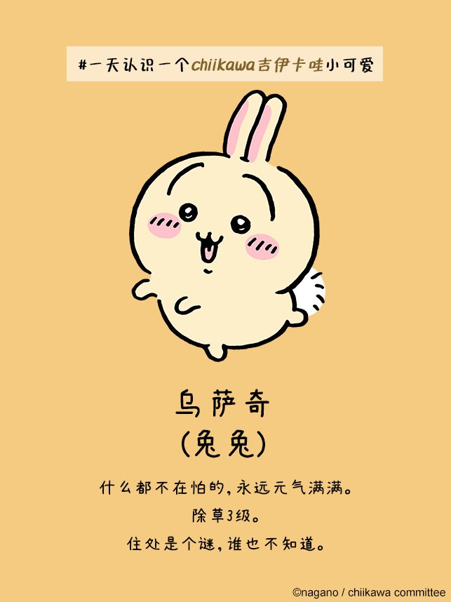 ڴ(Chiikawa Pocket)