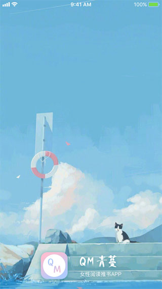 QMͼ4