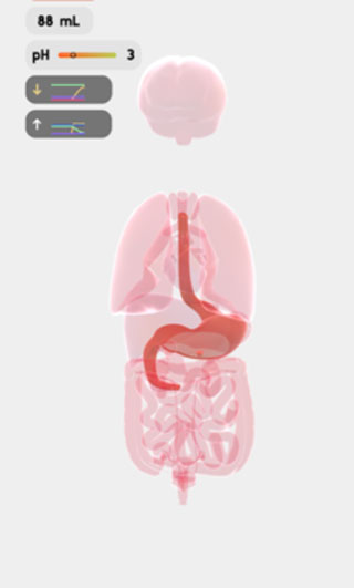 ģͼ1