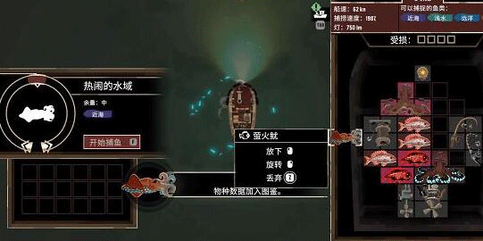 淫ӿֻ
