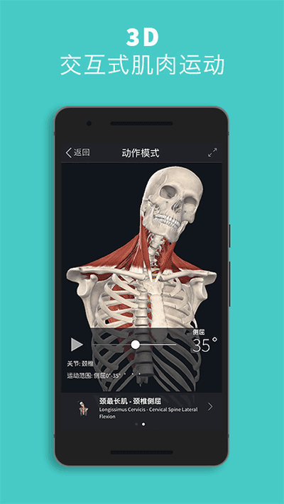 Complete Anatomyٷͼ1