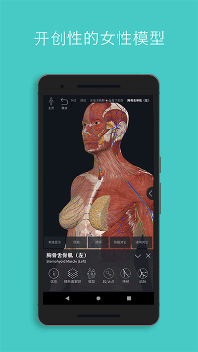 Complete Anatomyٷͼ2