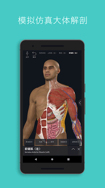 Complete Anatomyٷͼ3