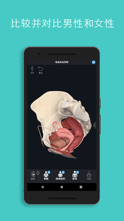 Complete Anatomyٷͼ4