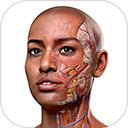 Complete Anatomyٷ