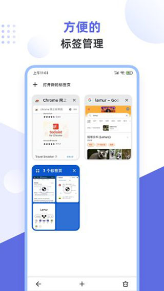 app2025°ͼ5