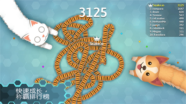 Snakeioͼ5