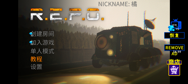 R.E.P.O.ֻ