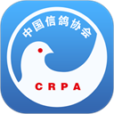 йŸЭapp