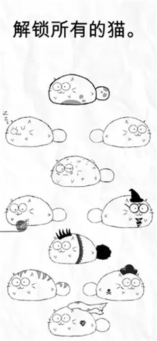 fatty catͼ2