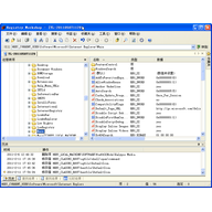 Registry Workshop(ע����༭��)