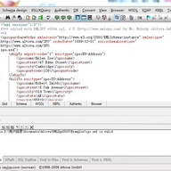 XML�༭��