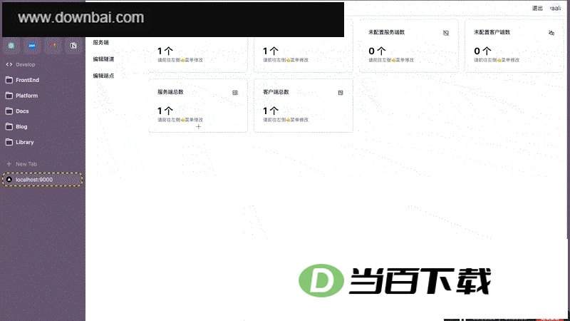 FRP Panel内网穿透 软件界面截图