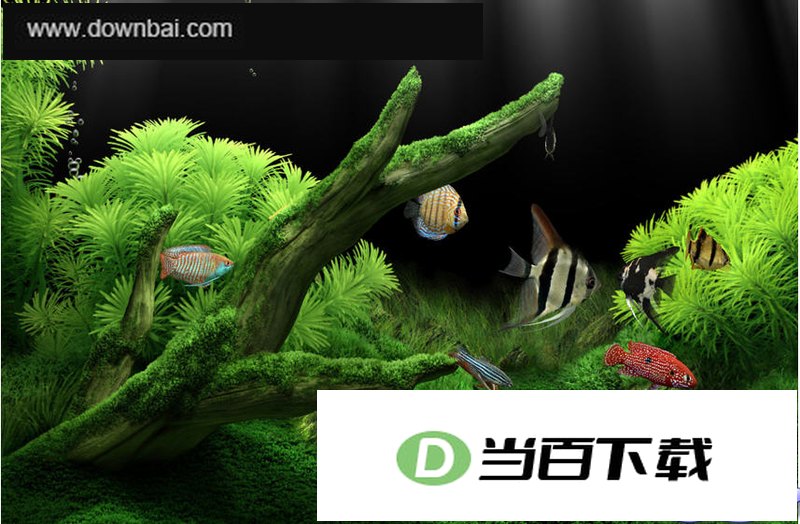 �λ�ˮ���dream aquarium ���������ͼ