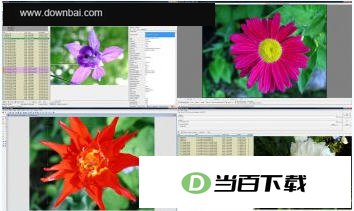 内置幻灯片浏览器(WildBit Viewer) 软件界面截图
