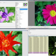 ���ûõ�Ƭ�����(WildBit Viewer)