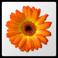 �滭�ͱ༭����(Artweaver Plus)