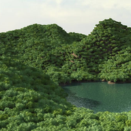 3dsmaxɭ�ֲ�� Forest Pack Pro